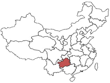 图片6.tif